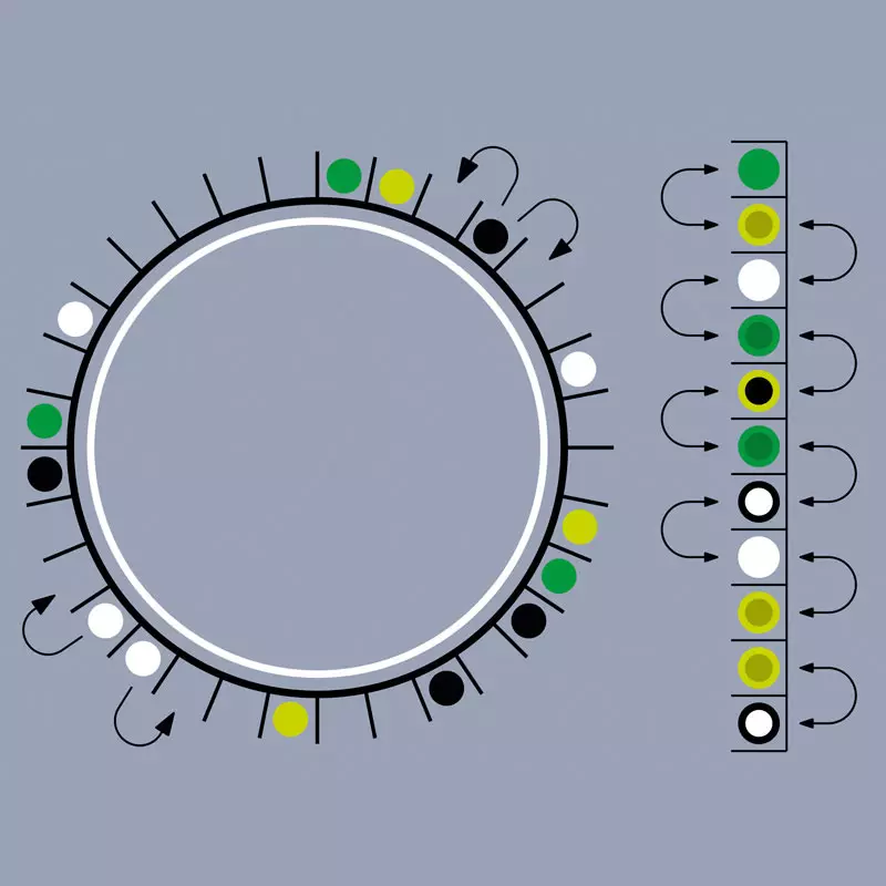 An artistic interpretation of the periodic and multispecies asymmetric simple exclusion process.