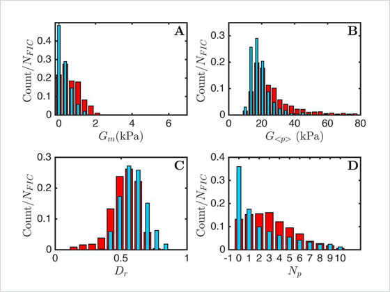 Figure 2 (graphs A, B, C, D) from research paper by Françoise Argoul et al 2016 Phys. Biol. 13 03LT01