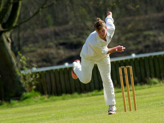Photograph of cricketer, Pixabay, CC0