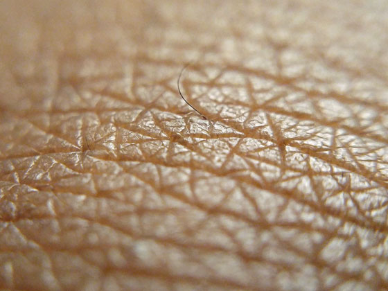 Human skin pigmentation recreated – with a 3D bioprinter - IOP ...