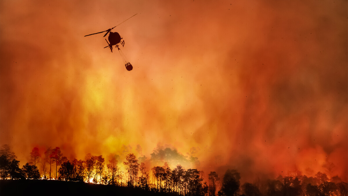 Blazing wildfire in a forested region with helicopter in the sky.