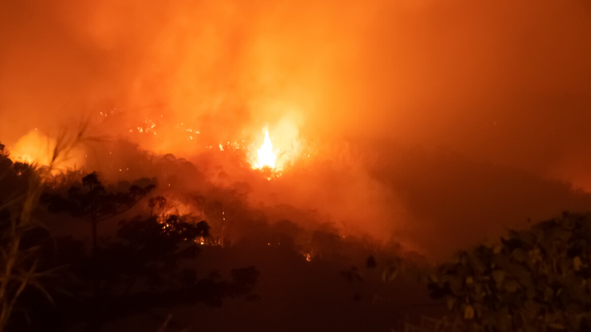 Amazon landscape overtaken by wildfire with a strong blaze in the centre and a smoke-filled sky.