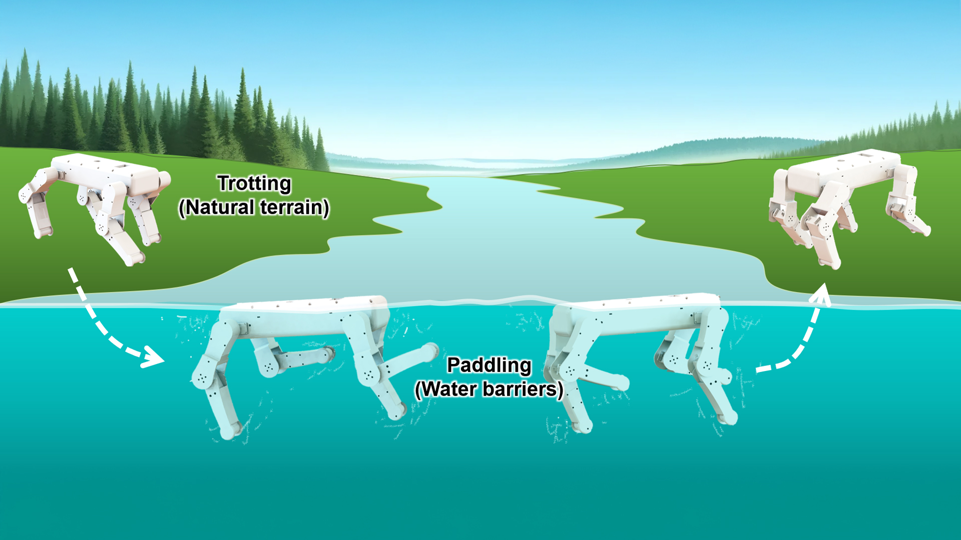 Diagram of Amphibious Robotic Dog moving through water