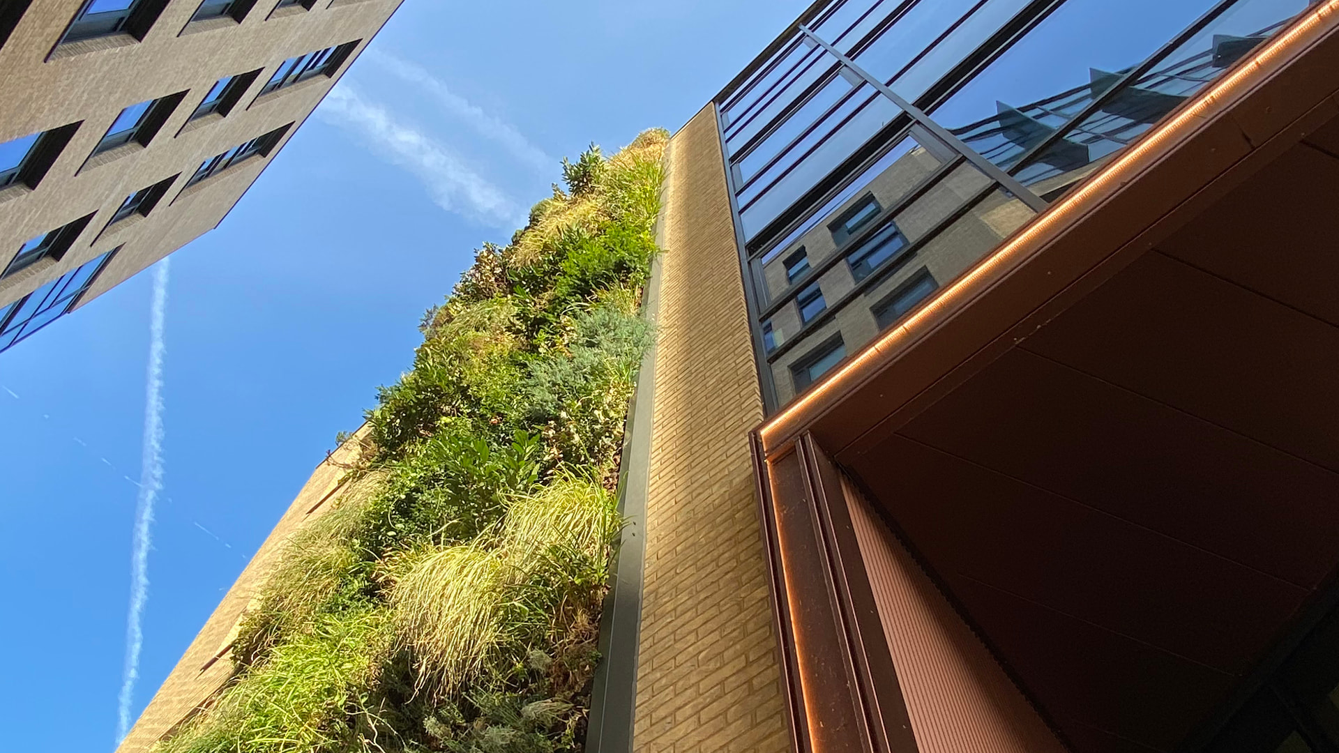 IOPP's sustainable head office in Bristol