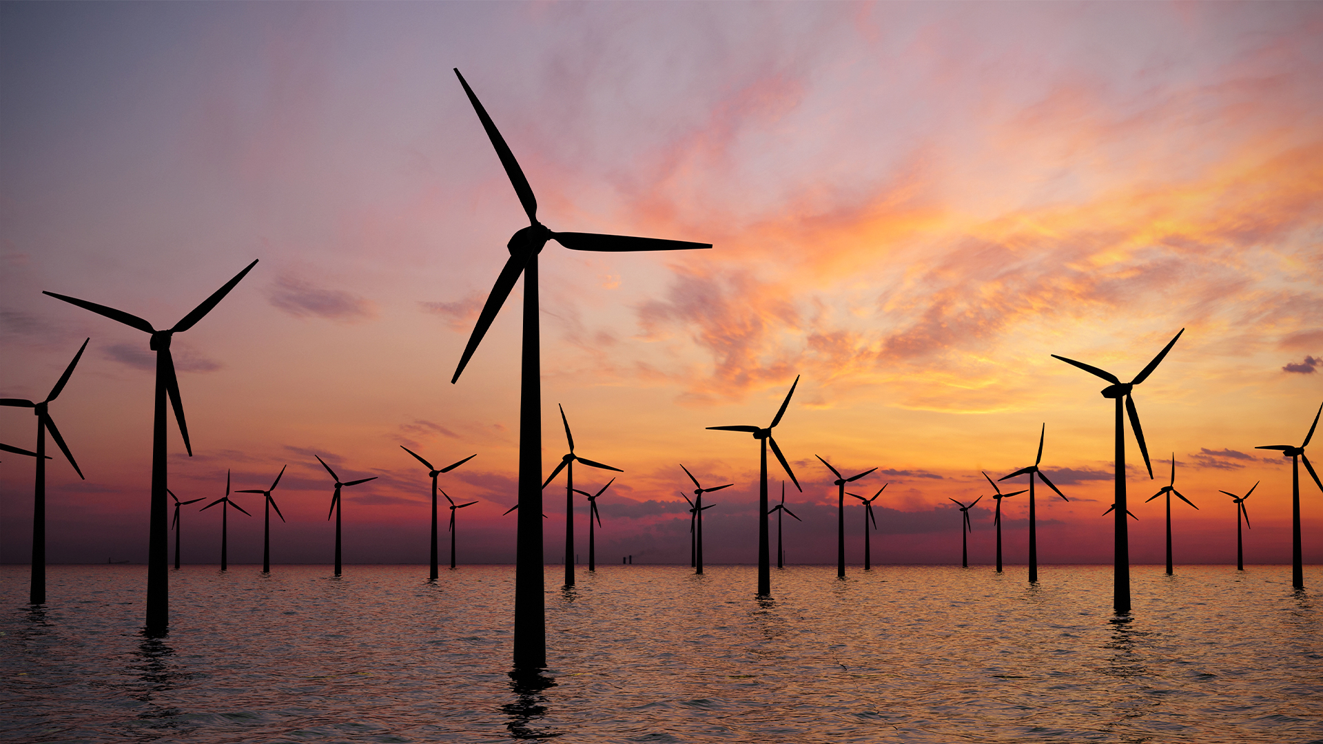 Offshore wind farm